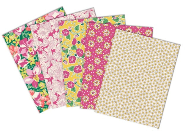 Liberty - Postcard - 5 pc FQ Bundle PC - C